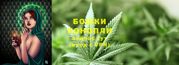 крисы Богданович