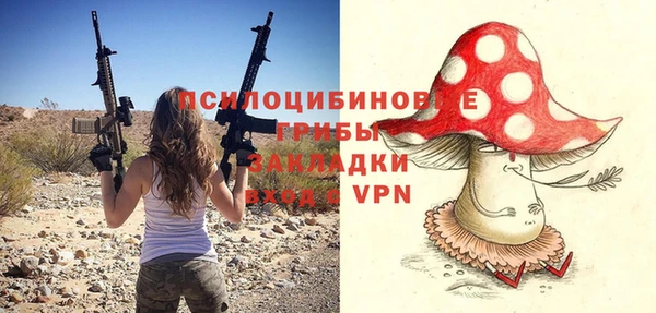 крисы Богданович