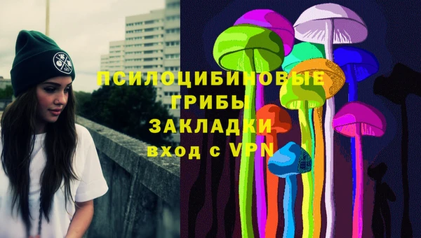крисы Богданович