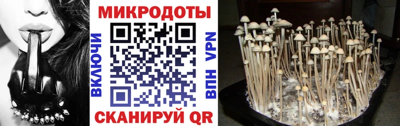 Купить где Благодарный Галлюциногенные грибы MAGIC MUSHROOMS